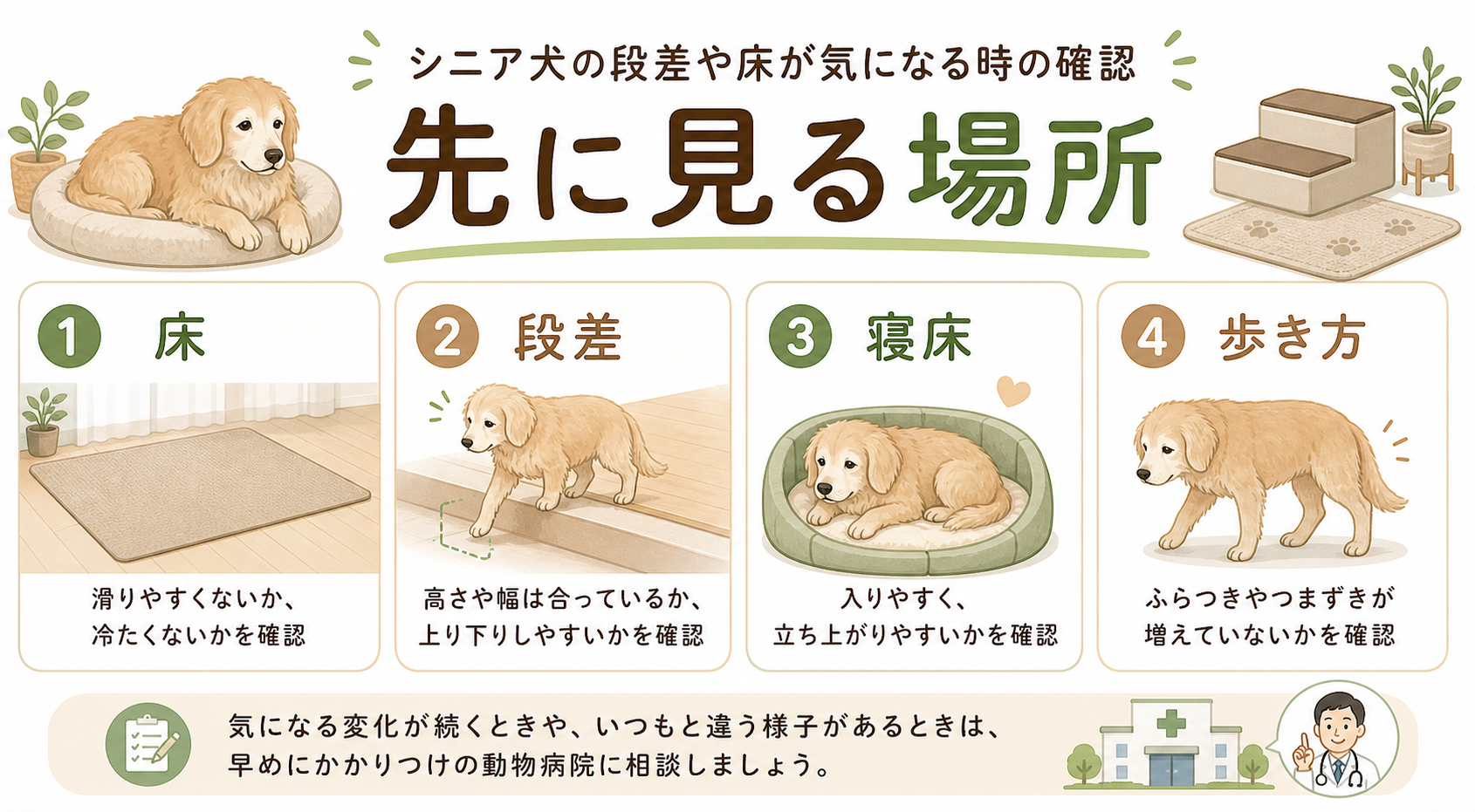 シニア犬の床と段差確認を判断するための図解