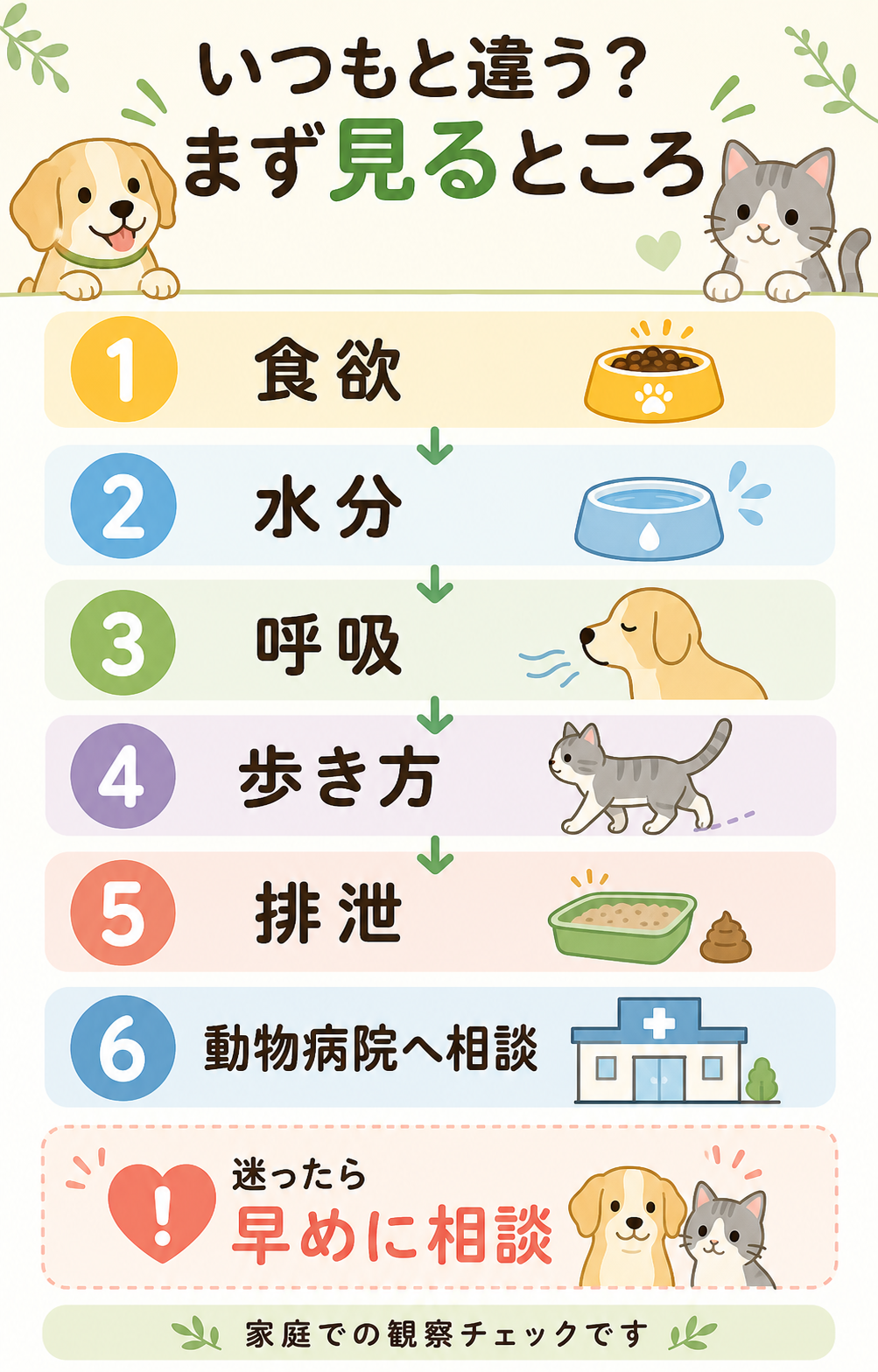 ペットの体調を食欲、排泄、動き、呼吸、いつもとの違いで確認し動物病院へ相談する流れ図